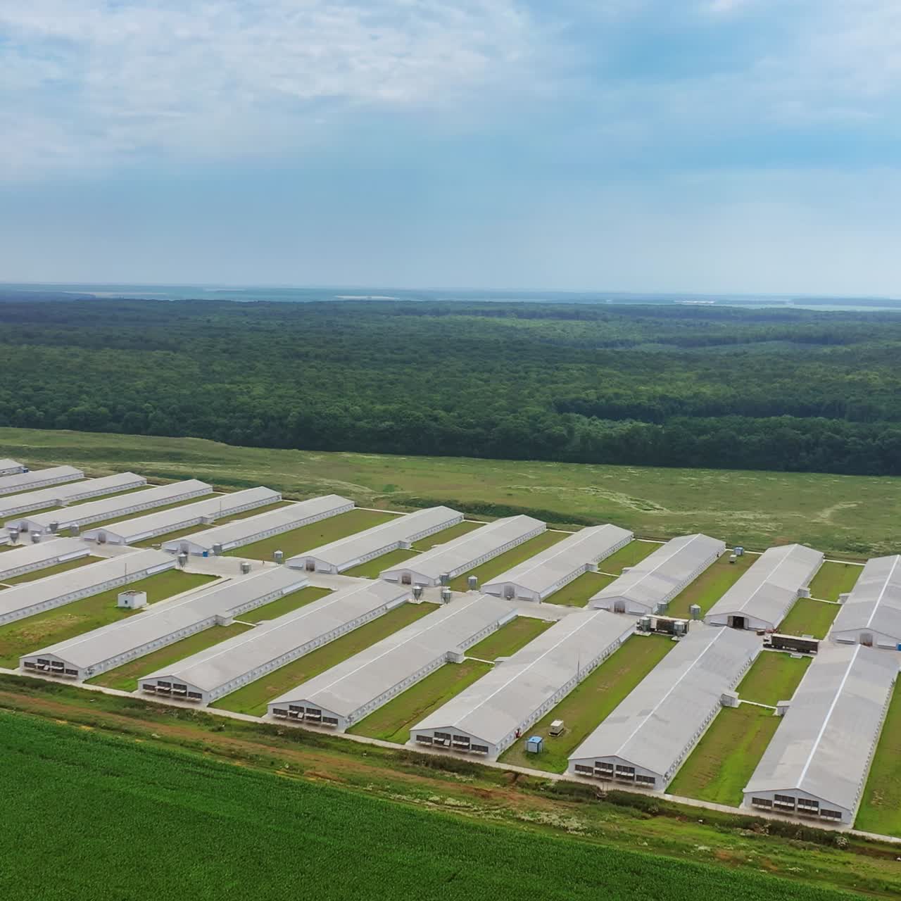 View of poultry houses in fields