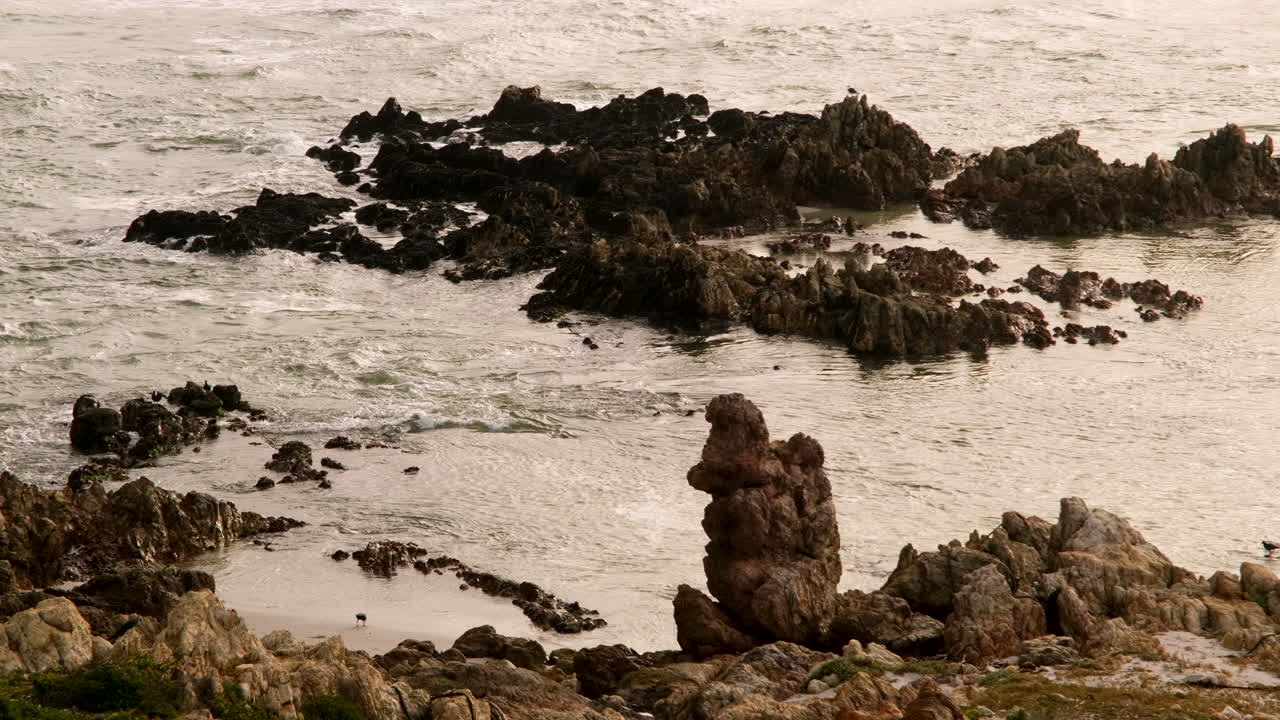 Hermanus beach at sunset with jagged rocks and African Oystercatchers foraging