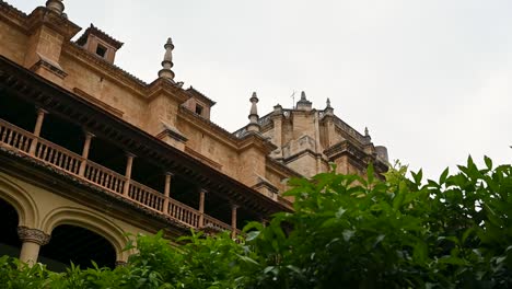stunning trees beneath the monasterio de san jeronimo, granada, spain