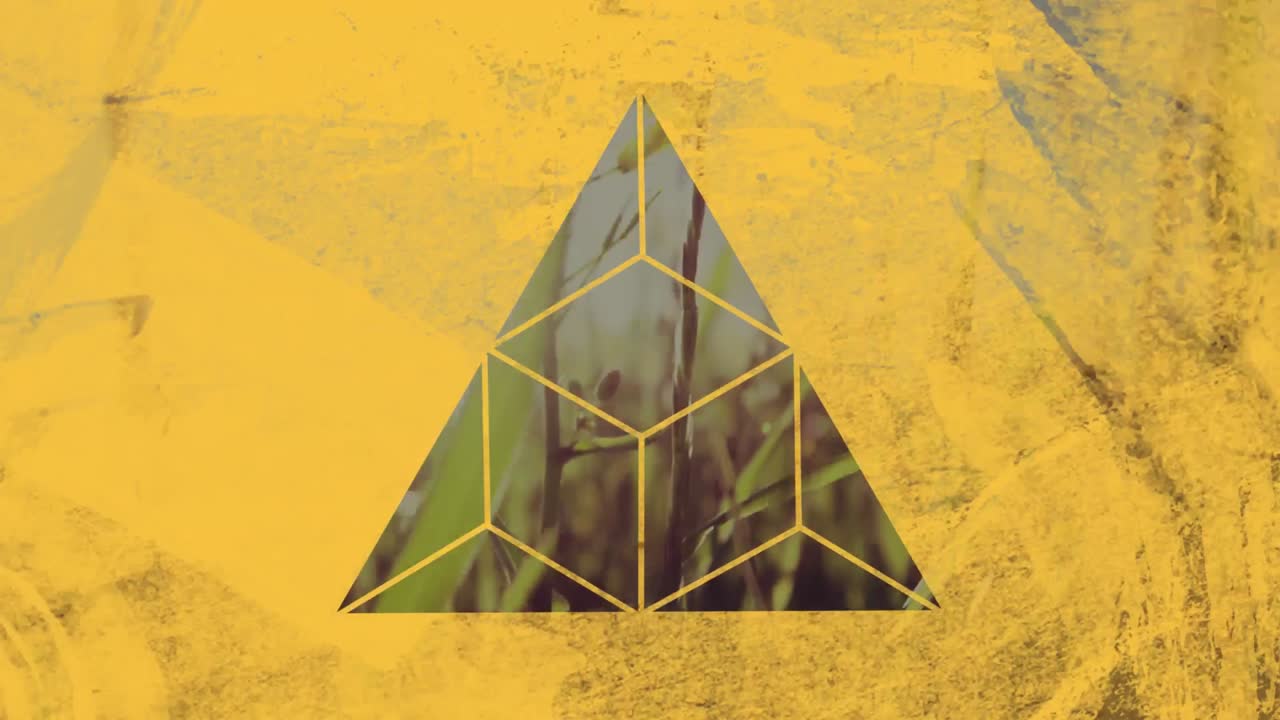 앞면 에 노란색 삼각형 을 통해 볼 수 있는 높은 잔디 들