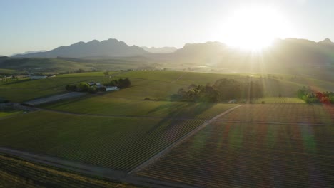 雨彩日出太陽射線在葡萄園葡萄園農場,空中, stellenbosch