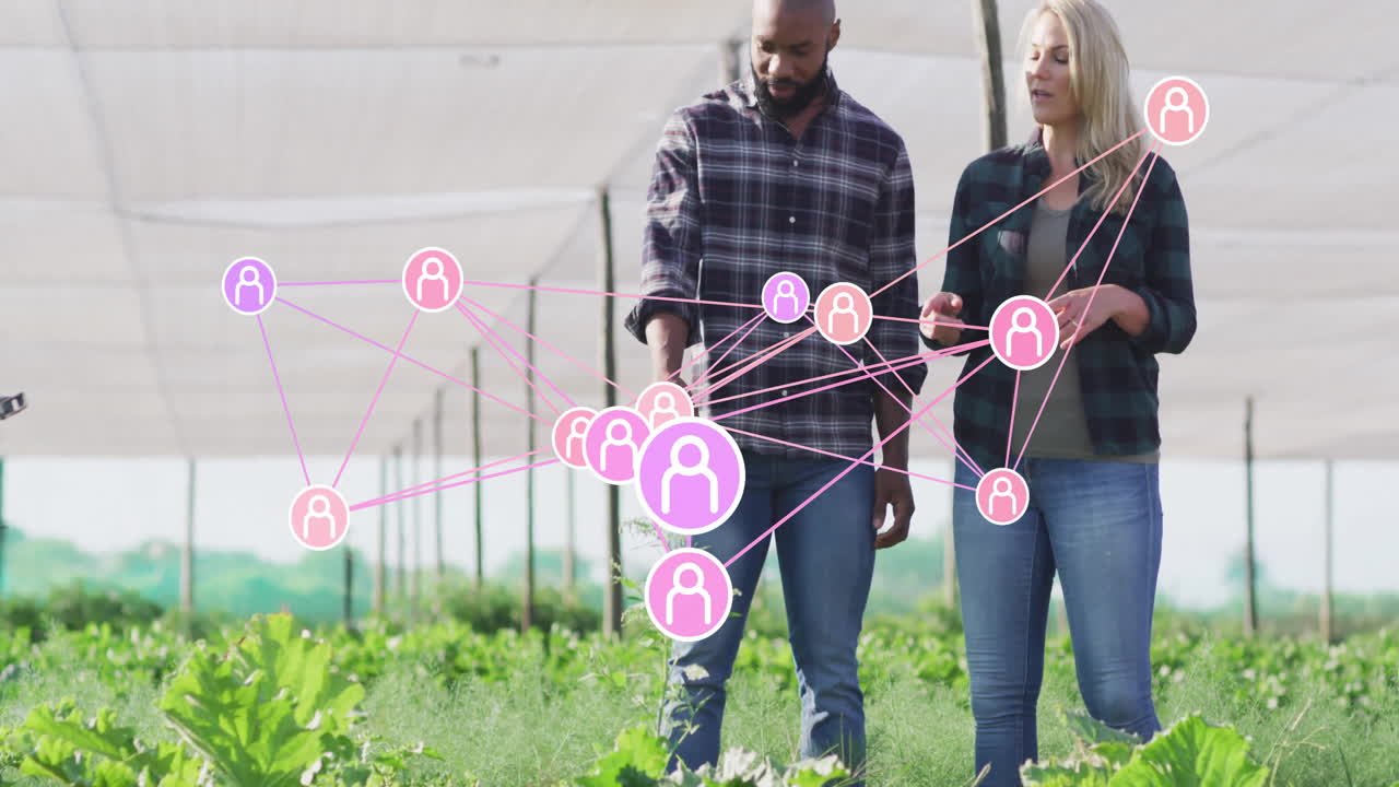 Two farm partners walking through shade house, inspecting leafy crops with floating network icons