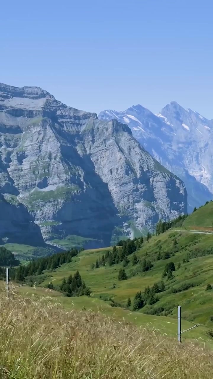 Vista panoramica delle montagne delle Alpi svizzere e della valle verde