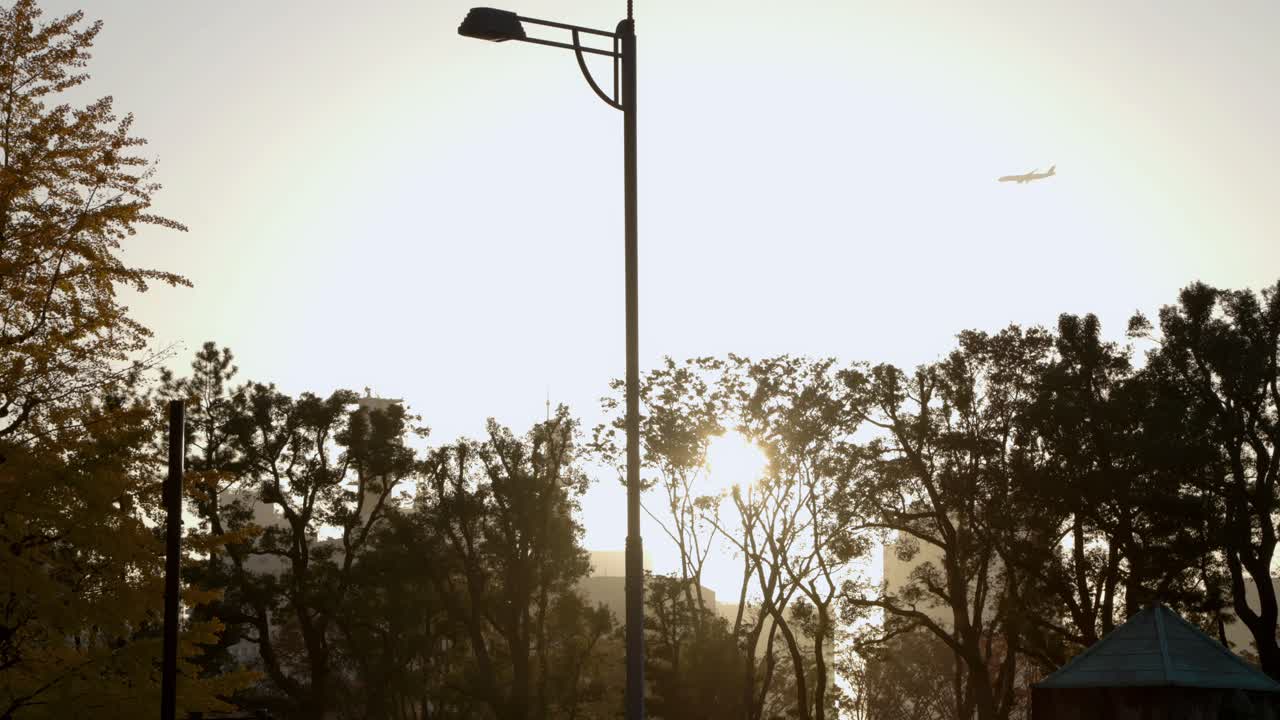 도쿄에서 가장 좋은 전망