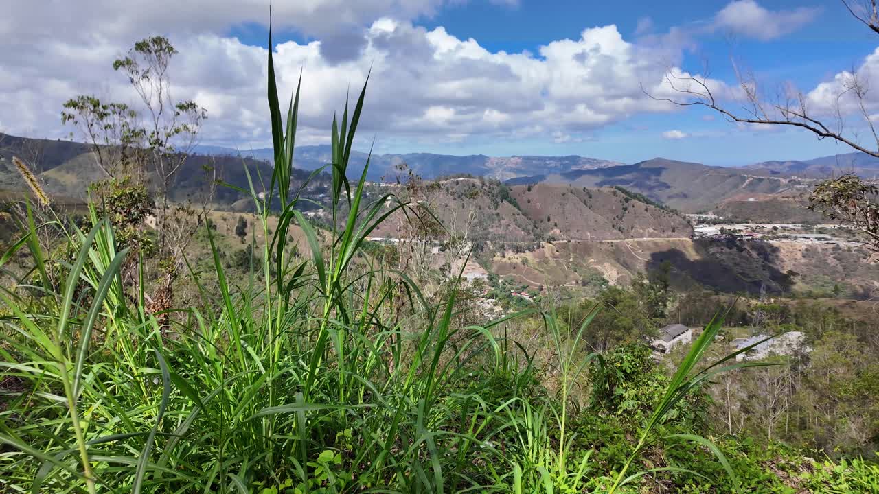 Erbacee tropicali lussureggianti in primo piano con catene montuose e cieli nuvolosi, catturate negli altopiani del Venezuela centrale