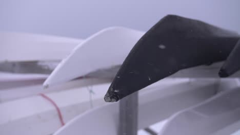 slow motion video of black and white canoes in a snowstorm