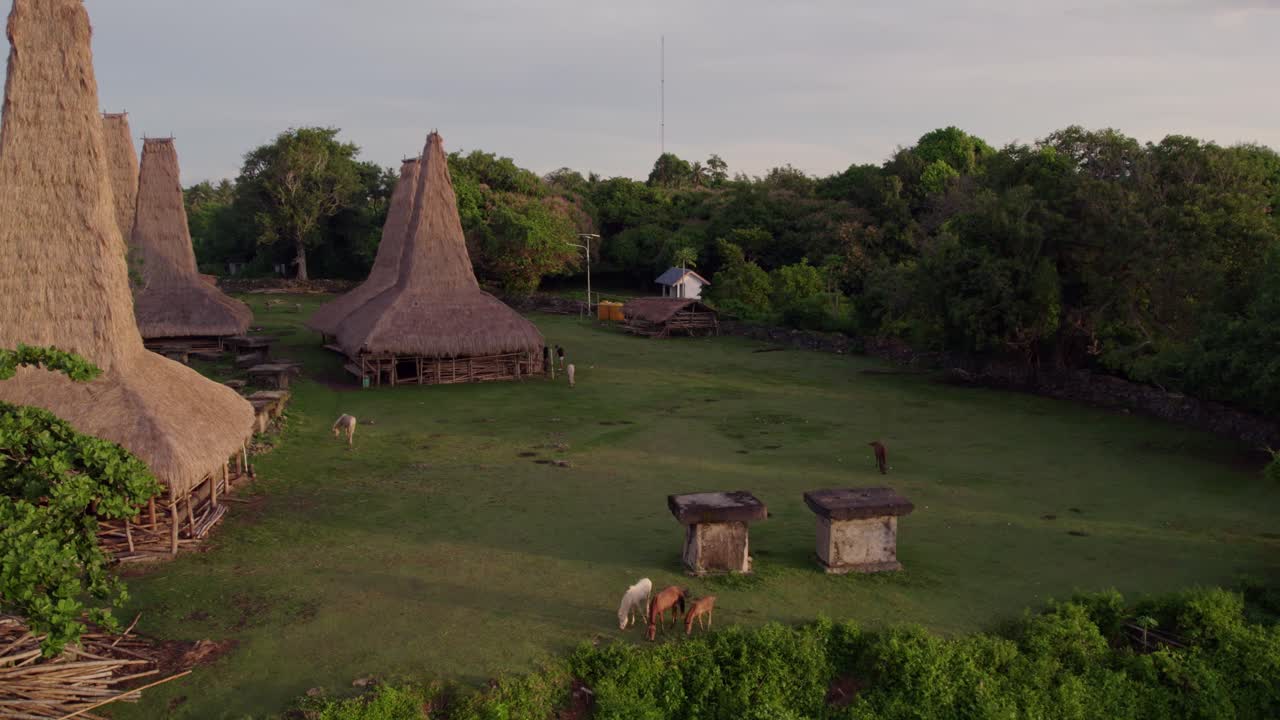 Vita culturale del villaggio con tetti tradizionali, Sumba, Indonesia