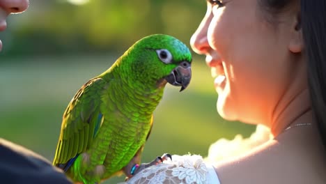 a joyful moment shared: a close-up of a vibrant green parrot interacting with two people in a serene outdoor setting