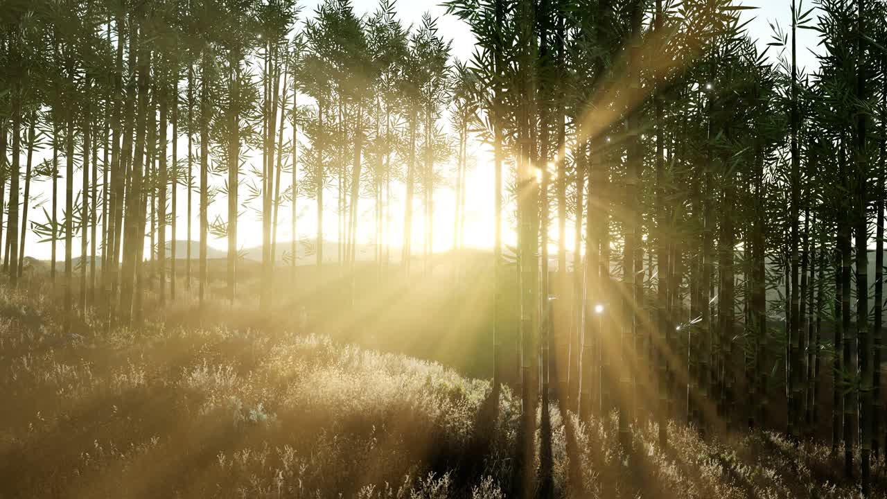 언덕 에 있는 초록색 대나무 숲