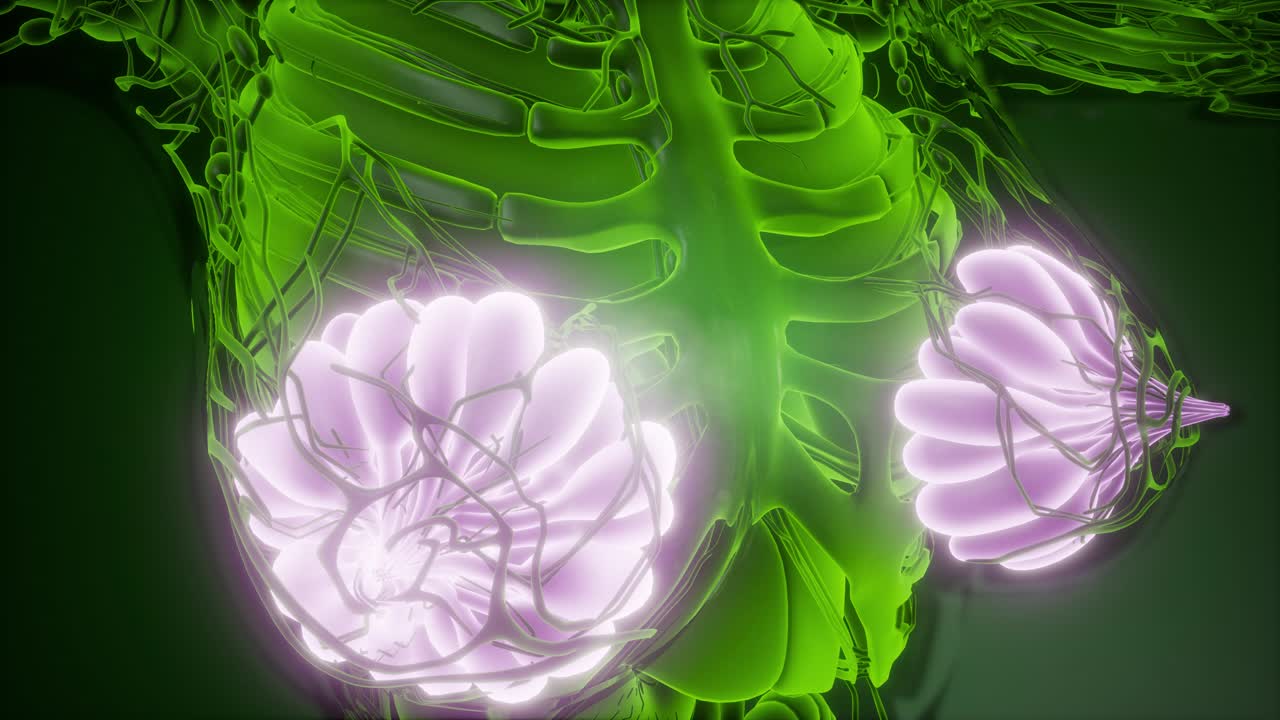 cuerpo humano con brillo visible glándula mamaria