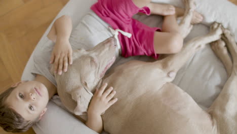 top view of a pensive little boy petting his dog while lying with on pet's bed and looking at the camera