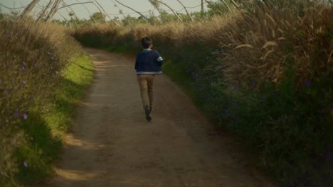 back view of a boy running in the park