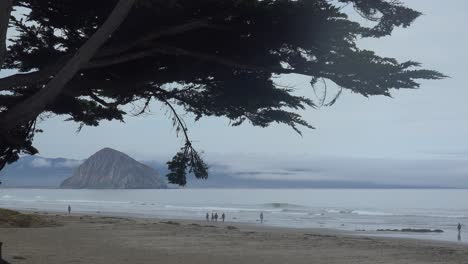 La-Gente-Camina-En-Una-Playa-Cerca-De-Morro-Bay,-California-Con-Morro-Rock-En-La-Distancia