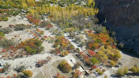 -árboles-Otoñales-En-El-Paisaje-Del-Valle-De-Skardu