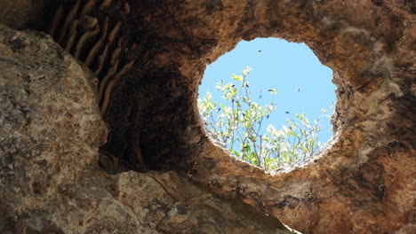 Static-close-up-of-flying-bees-in-rocky-cave-during-beautiful-summer-day