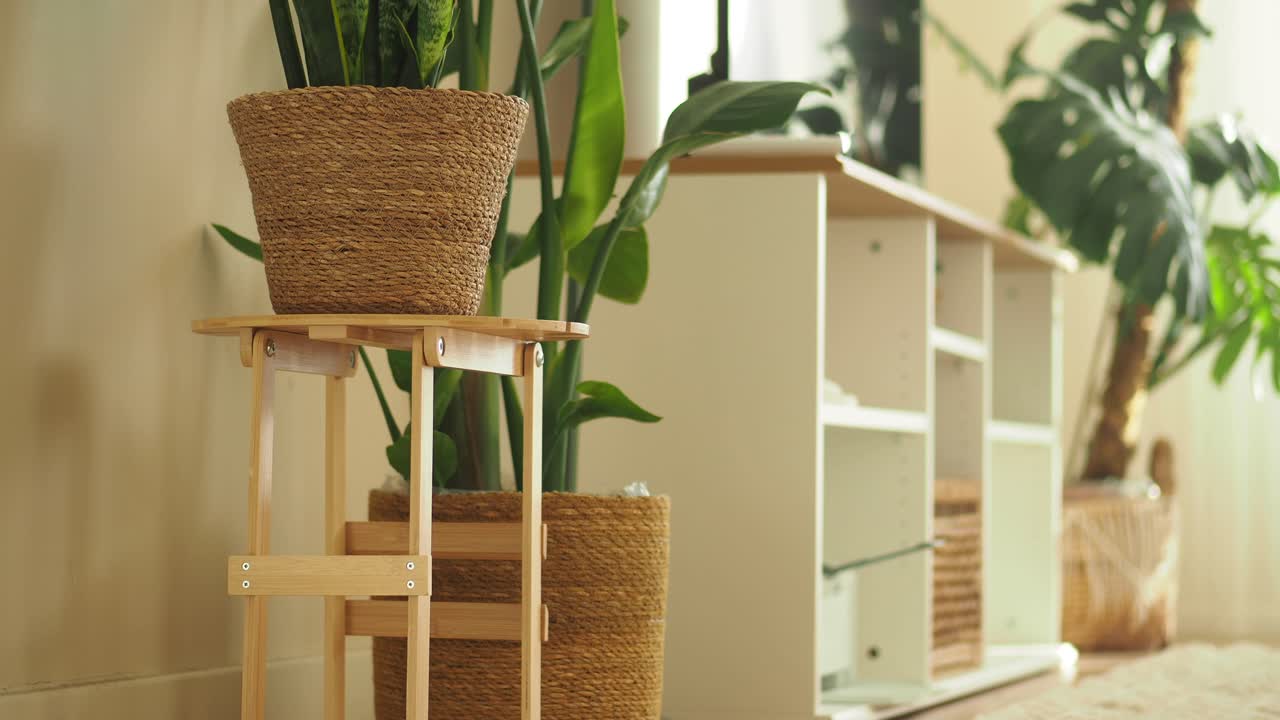 Indoor plants in woven baskets on furniture