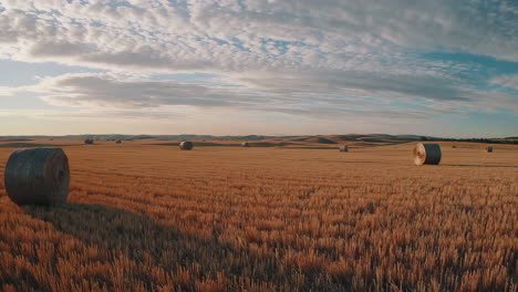 hay bales in a golden harvested field