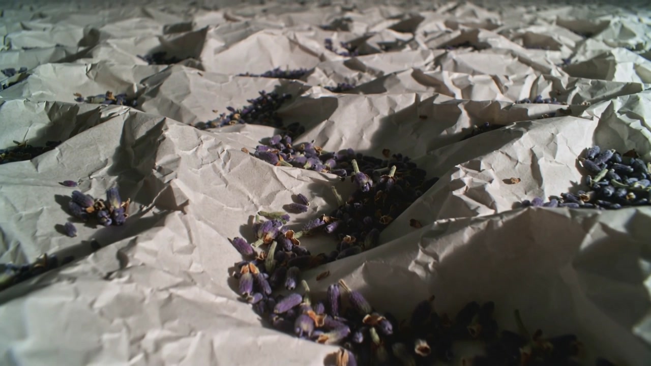 Operator pulling back camera to reveal crumpled off-white paper on tabletop, showing lavender buds