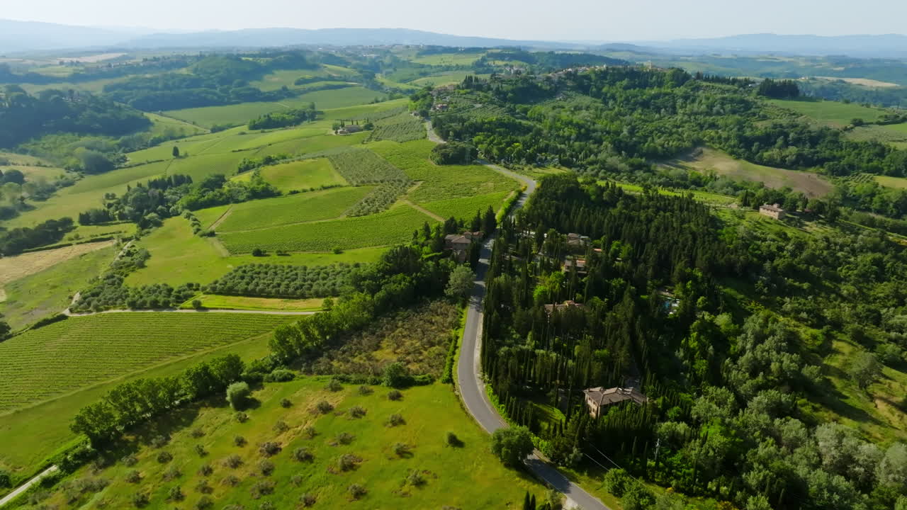 Aerial view orbiting a an area with cypress trees, vineyards and homes in Tuscany