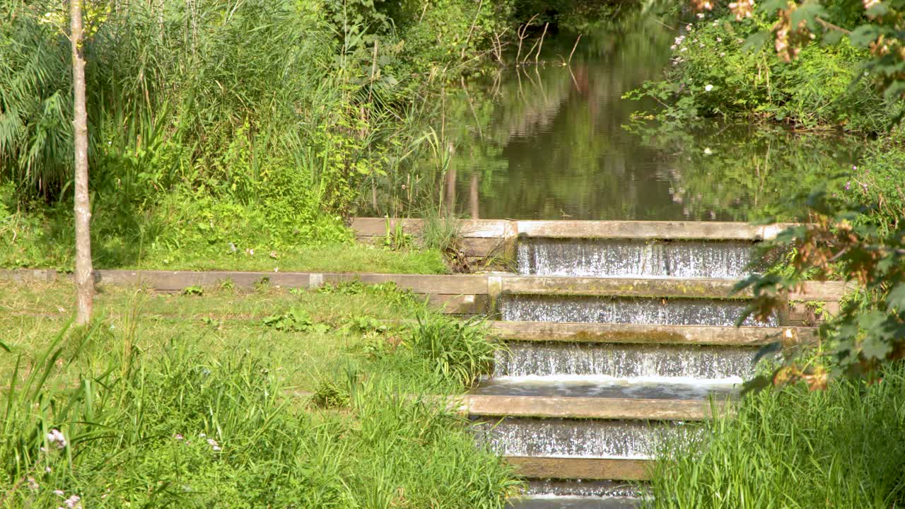 Cascading water flows over concrete steps surrounded by lush greenery in a city park