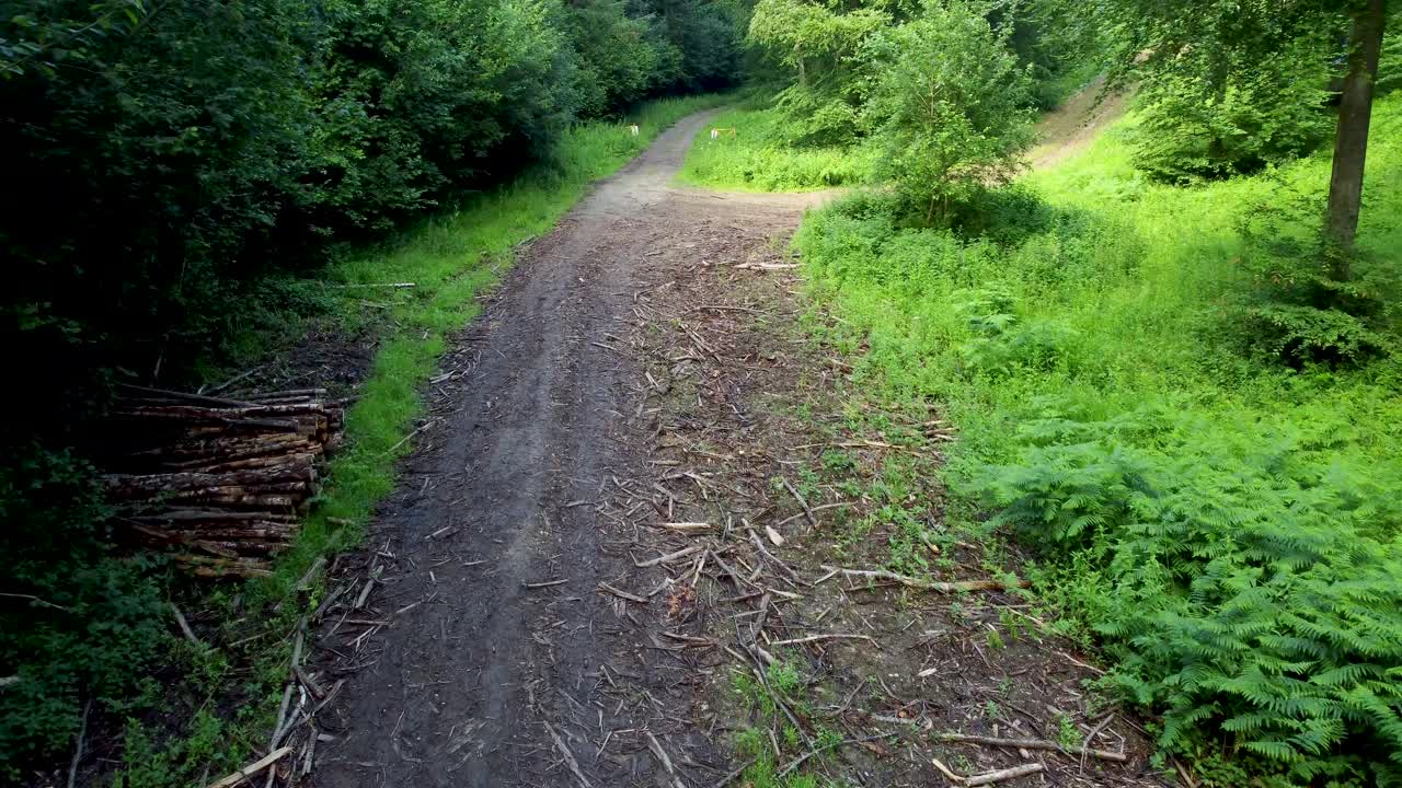 imágenes de drones de 4k volando lentamente sobre un sendero forestal con corteza en el suelo