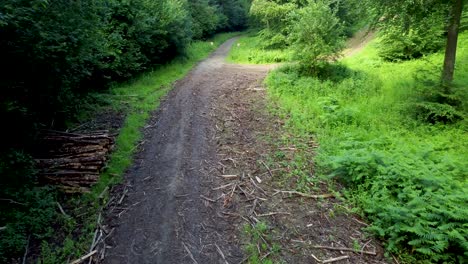 4K-Drohnenaufnahmen,-Die-Langsam-über-Einen-Waldweg-Mit-Rinde-Auf-Dem-Boden-Fliegen