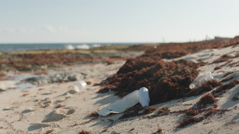 plastic waste and sargassum on mexico beach