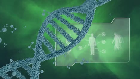 DNA-Doppelhelix-Und-Ein-Ordner-Mit-DNA-Und-Digitalem-Menschen