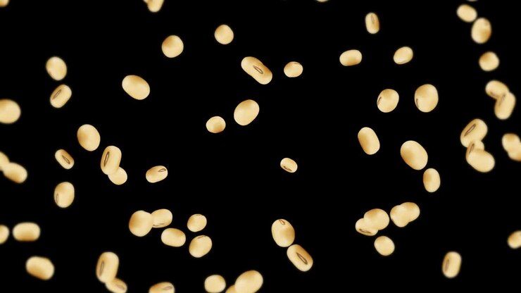 Flying many soybeans on black background. Light brown grains. Soya bean and soja. Healthy food. 3D loop animation of soy beans rotating.