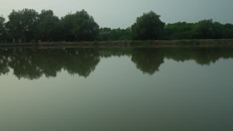 a calm lake with trees in the background