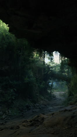 una cueva oscura y exuberante de la selva