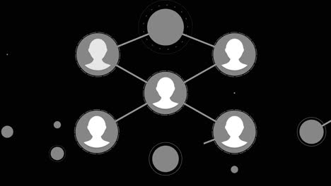 social network connections