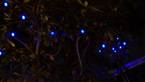 looking up at hanging flashing lights on tree at night