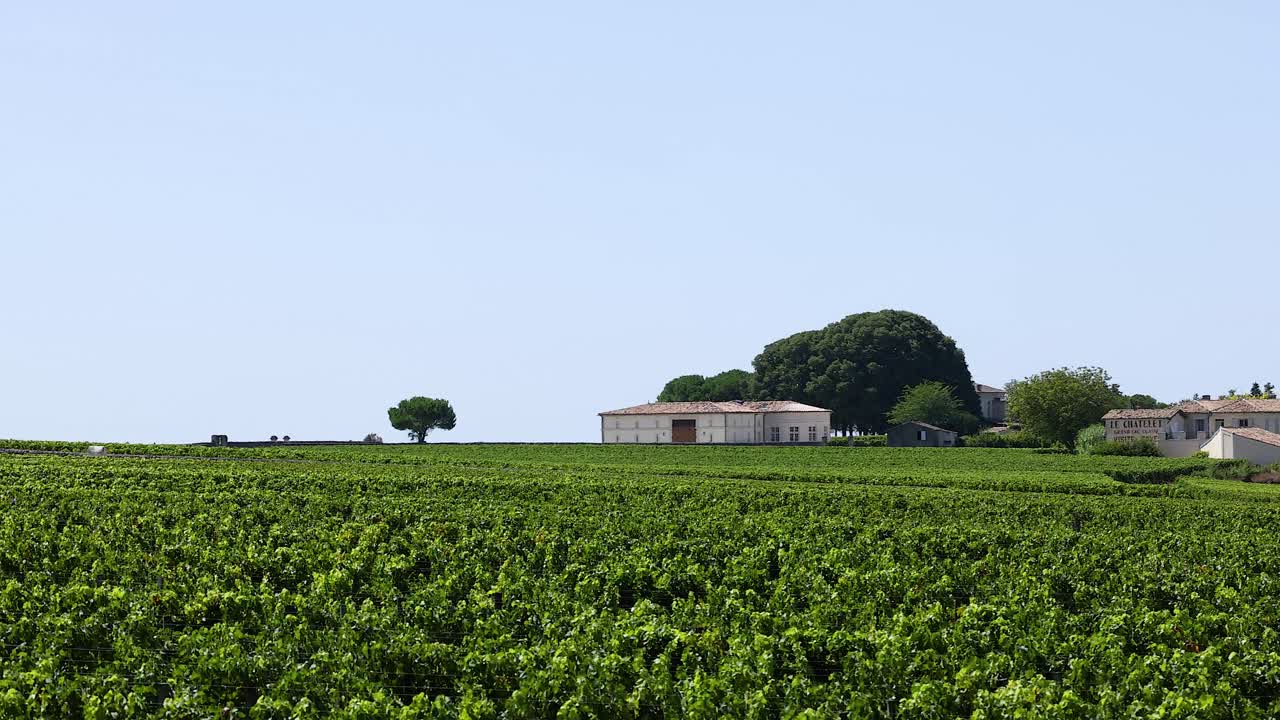 건물 과 나무 가 있는 경치 좋은 포도원