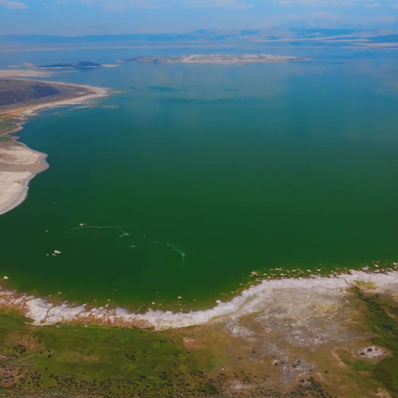 Magnificent scenery of a lake, blue in the middle and green at the waterfront. Amazing saline soda lake in Mono County, California, USA