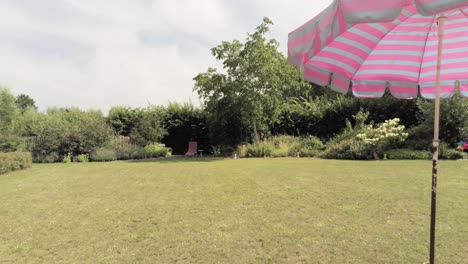 the beautiful greenery in the garden with a wonderful landscape of trees and variety of plants - wide shot with children's toys in foreground