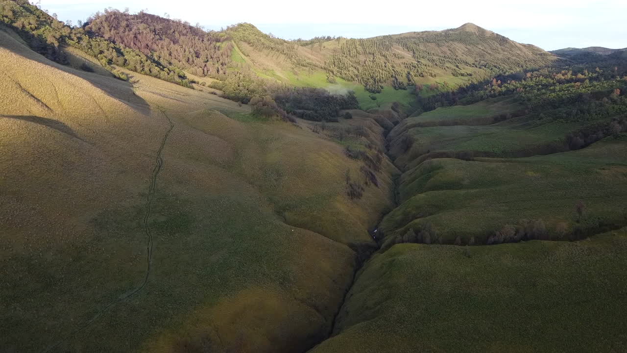 beautiful view of the Jemplang meadow, Mount Bromo national park, Indonesia. aerial meadows in the morning