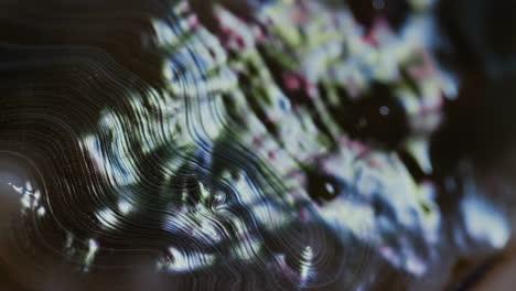 abstract iridescent wavy texture of a sea mollusk