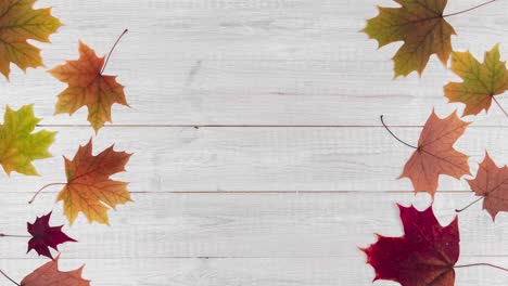 seamless stop motion animation with yellow, green, and red dry leaves on white wooden background. beautiful autumn composition as a frame with copy space