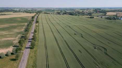 Campo-De-Grano-En-La-Región-De-Mazury-En-Polonia---Vuelo-De-Drones-Sobrevuelo-De-Aves-Aéreas-Un-Campo-En-El-Voivodato-De-Warmian-masuria-Durante-Junio-De-2022-Junto-A-Una-Concurrida-Carretera-Rural-En-Verano