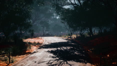 clean rural road with trees