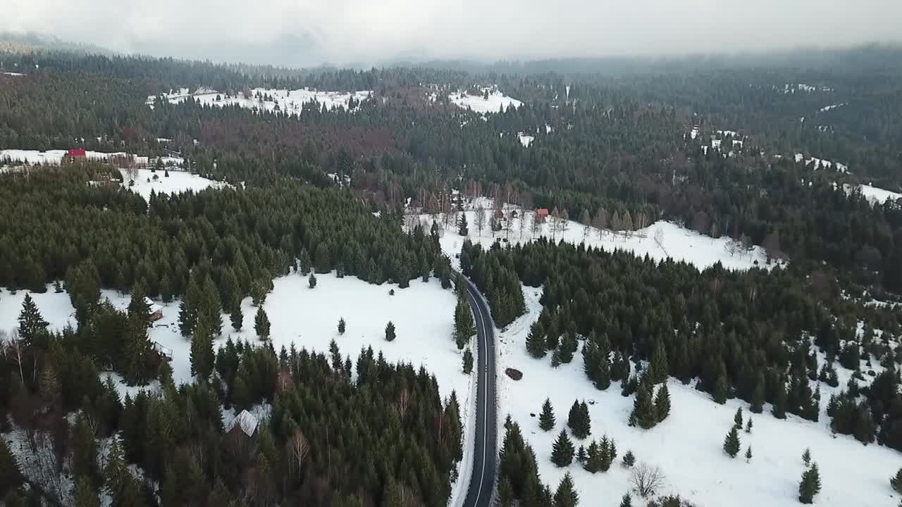 paisaje de invierno sobre el bosque