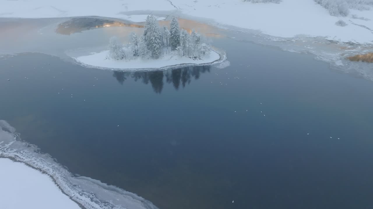 노르웨이 보스 근처의 부분적으로 얼어붙은 강 호수에 큰 백조의 공중 설정 샷