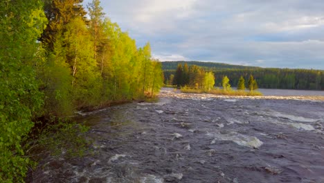 Tormentoso-Río-Glomma-En-El-Bosque-En-El-Condado-De-Noruega