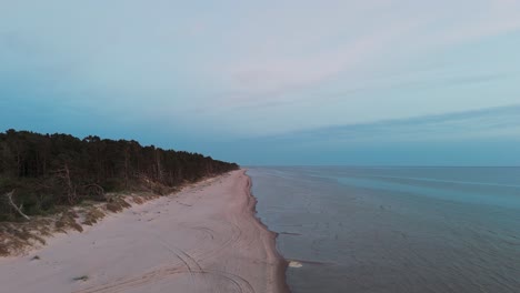 Vista-Aérea-De-Pájaro-De-La-Costa-Del-Mar-Báltico-En-Un-Día-Soleado,-Dunas-Costeras-Dañadas-Por-Las-Olas,-Pinos-Rotos,-Erosión-Costera,-Cambios-Climáticos,-Disparos-De-Drones-De-Gran-Angular