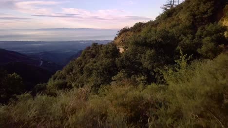 Hilly-Green-Forest-above-foggy-Santa-Barbara-at-dawn,-Drone-Reveal