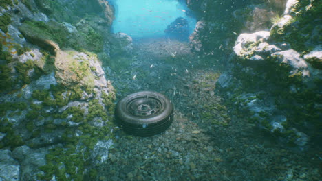 a tire lies on the ocean floor