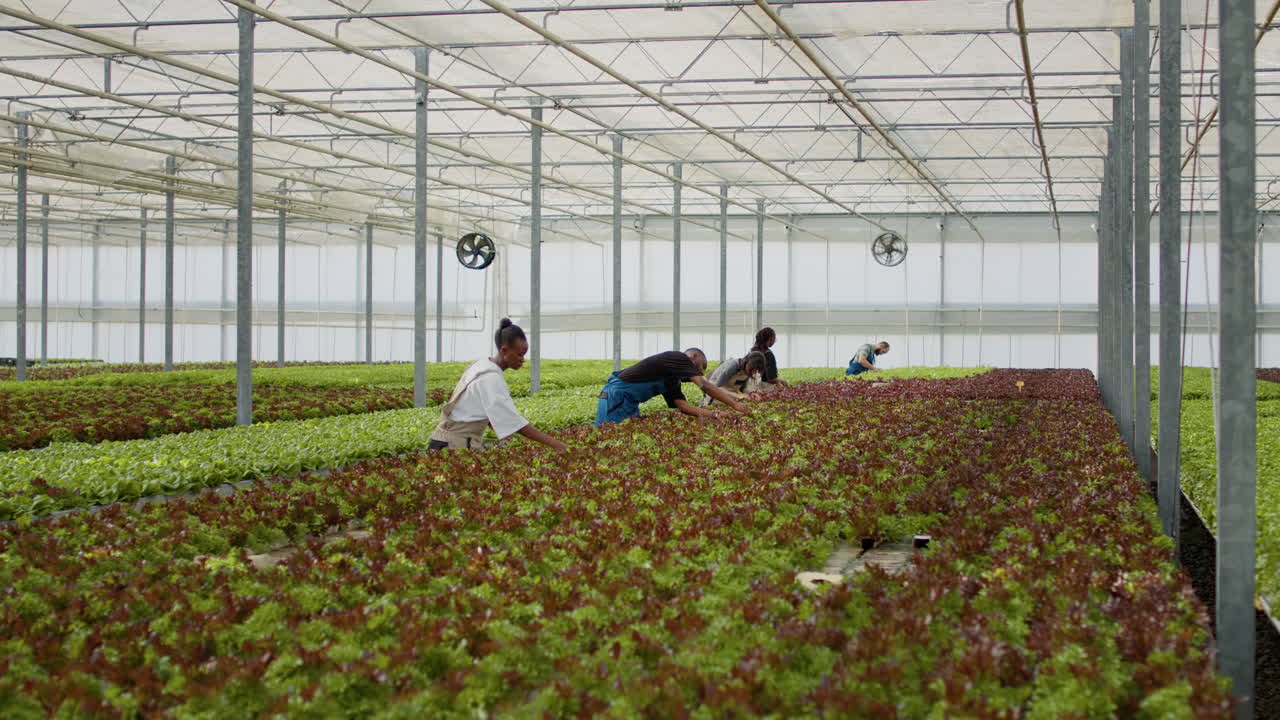 온실에서 일하는 사람들