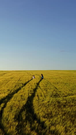 mother and son walking in rural field. beautiful young mother walking with her young son on the wheat field vertical video