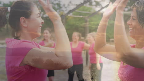 high-fiving in sunset, women in pink shirts celebrating outdoors together
